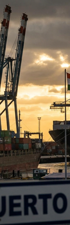 La India, principal destino de las exportaciones de Santa Fe en 2026 